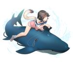  1girl ainu_clothes amazuyu_tatsuki animal_ears aquaplus aruruu aruruu_(getting_better) bare_shoulders breasts brown_hair closed_mouth collarbone dog_ears dog_girl dog_tail eyes_visible_through_hair fins fish_tail frilled_one-piece_swimsuit frills from_side full_body game_asset gradient_eyes gradient_hair hair_between_eyes hair_over_one_eye hair_over_shoulder hair_tubes head_tilt highres leaning_forward long_sleeves looking_at_viewer medium_hair multicolored_eyes multicolored_hair object_riding off_shoulder official_alternate_costume official_art one-piece_swimsuit orange_eyes pink_one-piece_swimsuit pink_sandals raised_eyebrows riding riding_animal riding_shark sandals seductive_smile see-through_clothes see-through_sleeves shark shark_tail sharp_teeth sidelocks simple_background small_breasts smile swimsuit tail teeth thighs third-party_source transparent_background utawarerumono utawarerumono:_lost_flag utawarerumono:_prelude_to_the_fallen water 