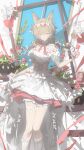  1girl absurdres arknights beanstalk_(arknights) beanstalk_(ribbons_of_promise)_(arknights) braid brown_hair dress empty_picture_frame feet_out_of_frame hairband highres holding hyena_ears hyena_girl long_hair looking_at_viewer luozhou_pile metal_crab_(arknights) off-shoulder_dress off_shoulder official_alternate_costume orange_eyes picture_frame red_hairband short_sleeves smile socks solo twin_braids white_dress white_socks window 