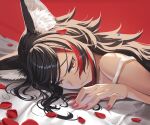  1girl absurdres animal_ears bed_sheet black_hair commentary_request gotointhepark hair_in_own_mouth highres hololive looking_at_viewer lying multicolored_hair on_stomach ookami_mio petals red_background red_streaks rose_petals simple_background single_hair_streak solo spiked_hair strap_slip streaked_hair swept_bangs virtual_youtuber wolf_ears wolf_girl yellow_eyes 