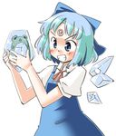  1girl \_/ arnest bad_id bad_pixiv_id blue_eyes cirno frog frozen frozen_frog ice ice_wings short_hair sketch smile solo touhou triangle_mouth wings 
