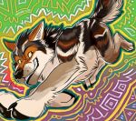 2026 ambiguous_gender black_nose black_pawpads brown_markings canid canine canis claws colored_sketch countershade_face countershade_torso countershading detailed_background digital_drawing_(artwork) digital_media_(artwork) feral fur gradient_background hi_res mammal marjani markings outline pawpads signature simple_background sketch solo tan_body tan_fur teeth textured_background whiskers wolf yellow_outline