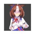  2girls 3d :3 animal_ears animated animated_gif border breasts brown_hair chibi commentary crown ear_ribbon english_commentary foreshortening grey_background hair_between_eyes hairband hands_on_own_hips holding_chibi horse_ears horse_girl large_breasts looking_at_viewer meisho_doto_(turbulent_blue)_(umamusume) meisho_doto_(umamusume) multiple_girls orange_hair pabol_(drivingpanda_) pink_crown pink_hairband purple_eyes short_hair t.m._opera_o_(o_sole_suo!)_(umamusume) t.m._opera_o_(umamusume) umamusume 