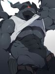 abs absurd_res anthro biceps bottomwear claws clothed clothing clothing_lift generation_5_pokemon hi_res legendary_pokemon male muscular muscular_anthro muscular_male nintendo open_bottomwear open_clothing open_pants pants pecs pokemon pokemon_(species) sakehabera shirt shirt_lift solo topwear zekrom