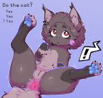 3_toes anus belly black_body black_fur blue_pawpads butt claws domestic_cat ear_piercing ear_ring exclamation_point eyelashes feet felid feline felis female feral fluffy fluffy_chest front_view fur gabileafy genitals grey_body grey_fur hair hi_res inner_ear_fluff iris_(gabileafy) looking_at_viewer mammal pawpads paws piercing red_eyes ring_piercing sitting solo spread_legs spreading tail text toes tuft vulva