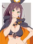  1girl absurdres bikini black_bikini blush_stickers border breasts brown_hair cape closed_mouth commentary_request green_eyes grey_background highres large_breasts long_hair looking_at_viewer navel noyama_takenoko orange_cape re:zero_kara_hajimeru_isekai_seikatsu shaula_(re:zero) smile solo swimsuit white_border 