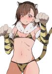  1girl absurdres animal_ear_hairband animal_ears animal_hands asymmetrical_bangs bikini blush breasts brown_eyes brown_hair clenched_teeth commentary cosplay cowboy_shot elbow_gloves embarrassed fake_animal_ears fake_tail fur_collar gloves hairband highres medium_hair misaka_mikoto navel parted_lips paw_gloves paw_pose print_bikini shokuhou_misaki shokuhou_misaki_(cosplay) simple_background small_breasts solo stomach swimsuit tail teeth ten_8810 tiger_ears tiger_print_bikini tiger_tail toaru_kagaku_no_railgun toaru_majutsu_no_index yellow_bikini 