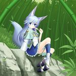  animal_ears bad_id bad_pixiv_id bamboo bamboo_forest blue_eyes blue_hair capelet dango food forest fox_ears fox_tail frilled_skirt frills grass grimorigin hakugin_no_shikigami_izuna highres long_hair long_sleeves nature original rock sandals sanshoku_dango shirt sitting sitting_on_rock skewer skirt smile solo tabi tail wagashi wraith_the_etoile 