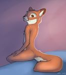  2014 bed bedroom canine fox looking_at_viewer looking_back male mammal nude solo tuke 