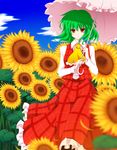  ascot bad_id bad_pixiv_id field flower flower_field green_hair kazami_yuuka kurono_yuzuko nature parasol plaid plaid_skirt plaid_vest red_eyes short_hair skirt skirt_set solo sunflower touhou umbrella vest 