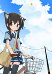  aikei_ake animal_ears bad_id bad_pixiv_id bag balloon basket bicycle bicycle_basket black_eyes black_hair black_legwear blouse blue_skirt blush cat_ears cat_tail cloud day ground_vehicle looking_at_viewer messenger_bag original outdoors pleated_skirt power_lines school_uniform serafuku short_hair shoulder_bag sidelocks skirt sky smile socks solo standing tail telephone_pole thighhighs uniform white_blouse zettai_ryouiki 