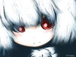  :&lt; artist_name bad_id bad_pixiv_id black_background close-up inubashiri_momiji inunoko. looking_at_viewer pom_pom_(clothes) red_eyes solo touhou white_hair 