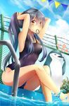  bird black_hair long_hair maronie. mouth_hold one-piece_swimsuit orange_eyes original penguin ponytail poolside rubber_band school_swimsuit sitting swimsuit water whistle 