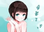  aqua_eyes brown_hair closed_mouth f3d face hands_clasped highres looking_at_viewer nude original own_hands_together short_hair smile solo 