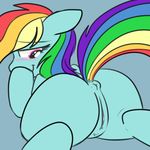  abstract_background alittlepony anus back_turned bedroom_eyes blue_fur blush clitoris equine feathers female friendship_is_magic fur hair hooves horse long_hair looking_at_viewer looking_back mammal multi-colored_hair my_little_pony pegasus pink_eyes pony presenting pussy rainbow_dash_(mlp) raised_tail smile solo wings 