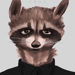  avatar looking_at_viewer male mammal raccoon yonk 