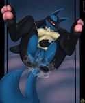  after_sex anthro anus bed breasts butt claws clitoris cum cum_in_ass cum_inside cum_on_butt cum_on_tail cum_pool digitigrade edit fangs female first_person_view leaning leaning_back legs_up looking_at_viewer lucario lying mammal messy nintendo nude on_back one_eye_closed open_mouth orgasm pawpads paws pok&eacute;mon pok&eacute;morph pussy red_eyes scappo spread_legs spreading sweat video_games wet 