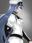  akame_ga_kill! blue_eyes blue_hair breasts choker esdeath fitz_(fita_is_the_smartest) grin hat large_breasts long_hair military military_uniform peaked_cap profile smile solo uniform very_long_hair 