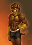 abs anthro biceps big_muscles boxers bulge canine clothing dog hand_on_hip looking_at_viewer male mammal muscles open_mouth pecs rottweiler solo standing tongue tongue_out topless underwear vallhund wylderottie 