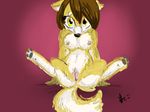  anthro ashamed bashful begging big_breasts breasts canine cute desperate dog doge embarrassed female front_view hannahugs hiding horny looking_at_viewer mammal meme nipples presenting presenting_pussy pussy shiba_inu shy solo spread_legs spreading voluptuous 