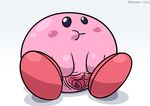  blush crossgender cute gaping gaping_pussy kirby kirby_(series) nude pokehidden pussy solo spreading 