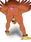  avian beak bent_over bird butt eagle gamma-g line_art looking_at_viewer male open_mouth panty_pull solo spread_legs spreading thong 