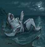  bones_(artist) fish marine shark solo transformation 