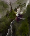  detached_sleeves from_above from_behind hakurei_reimu hat hi-yo inubashiri_momiji multiple_girls nature short_hair standing sword tokin_hat touhou water waterfall weapon white_hair youkai_mountain 