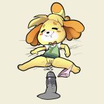  after_sex animal_crossing anthro canine clothed clothed_sex clothing cum cum_in_pussy cum_inside disembodied_penis dog female isabelle_(animal_crossing) itsunknownanon male male/female mammal nintendo panties panties_around_one_leg penis sex shih_tzu underwear underwear_around_one_leg video_games 