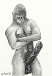  2007 balls crossed_arms erection gorilla male mammal nipples penis plain_background primate pulsar tagme white_background 