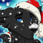  2013 blackshepard blue_eyes canine christmas_hat icon male mammal sad snow wintersnowolf wolf 