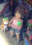  bandaid brown_hair child dararito dog dog_walking food green_eyes hair_bobbles hair_ornament highres ice_cream leash looking_up mouth_hold original sandals shiba_inu short_hair shorts side_ponytail sleeveless solo tan tanline 