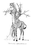  centaur equine female giraffe human humor mammal scientific_name taur tree 