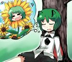  =_= antennae cape closed_eyes dreaming drooling flower green_hair hitsuji_bako kazami_yuuka multiple_girls nose_bubble saliva short_hair sleeping spoken_face spoken_flower sunflower thought_bubble touhou wriggle_nightbug 