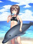  beach bikini black_bikini blush brown_eyes brown_hair cloud day flat_chest food h_kasei headband headgear inflatable_dolphin inflatable_toy kantai_collection navel ocean open_mouth outdoors popsicle short_hair sky solo swimsuit taihou_(kantai_collection) water 