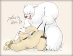  ambiguous_gender bdsm bear bondage bound collar duo eyebrows hi_res kemono mammal plain_background polar_bear rope sex stevenlew teeth tongue tongue_out white_background 