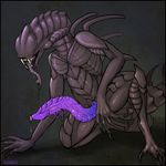  alien alien_(franchise) arm_support fangs genital_slit kneeling long_penis male open_mouth penis precum prehensile_penis ridged_penis sharp_teeth slit slug_(artist) solo teeth vein veiny_penis xenomorph 