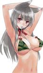  absurdres animal_ears armpits arms_up bikini blush body_blush breasts camouflage camouflage_bikini cleavage collar copyright_request covered_nipples highres large_breasts long_hair looking_at_viewer mouth_hold navel print_bikini red_eyes silver_hair simple_background smile solo strap_gap swimsuit tanaka_takayuki white_background 
