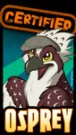  2012 avian badge bird dracovar_valeford hat marymouse open_mouth osprey solo tagme tongue valeford yellow_eyes 