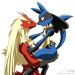  ambiguous_gender anthro avian bird blaziken blush canine chicken holding inumania jackal lucario male mammal nintendo open_mouth plain_background pok&eacute;mon red_eyes video_games white_background 