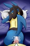  anal anus butt echorelic from_behind lucario male nintendo pok&eacute;mon rasied_tail sex video_games 