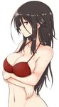  bare_shoulders bikini black_hair blush breasts brown_eyes crossed_arms large_breasts lockheart long_hair looking_at_viewer navel red_bikini sendai_hakurei_no_miko simple_background solo swimsuit touhou white_background 