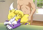  bent_over breasts digihentai digimon eyes_closed faceless_male female from_behind human interspecies male mammal nude palcomix renamon sex straight table unknown_artist 