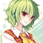  ascot bad_id bad_pixiv_id green_hair kazami_yuuka lilith_(lilithchan) lowres plaid plaid_vest red_eyes shirt short_hair smile solo touhou vest 