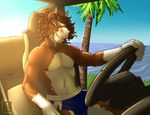  2014 anthro bridle bulge car clothing driving ear_piercing green_eyes hair hooves hore male modjo nipples outside piercing sea smile solo topless tree underwear vallhund water 