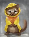  2014 ambiguous_gender blue_eyes cute feral mammal marten mustelid rain raincoat silverfox5213 solo 