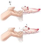  axolotl bad_id bad_pixiv_id gills hands handshake nakashima_(middle_earth) original salamander 