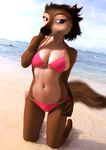  alpha_and_omega beach big_breasts bikini breasts canine edit female fur mammal oystercatcher7 photo_manipulation photomorph princess_(alpha_and_omega) royalty seaside swimsuit wolf 
