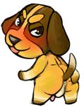  animal_crossing anus balls blush butch_(animal_crossing) butt canine dog looking_at_viewer male mammal nintendo penis presenting presenting_hindquarters solo spooksy video_games 