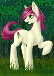  2014 earth_pony equine female feral friendship_is_magic horse mammal my_little_pony pony rose_(mlp) santagiera solo 