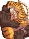  anal bear cum feline gay male mammal muscles penis tiger 